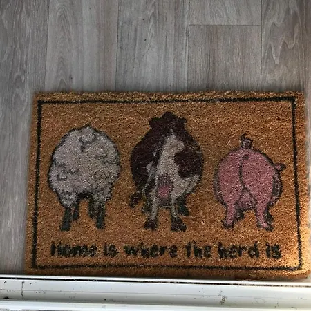 Brigid M's * Killashandra