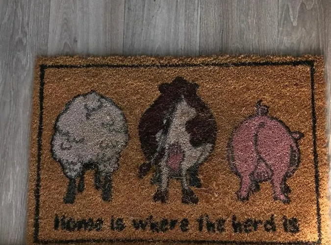 Brigid M's * Killashandra