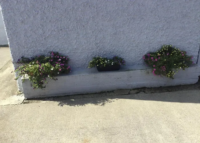 Brigid M's * Killashandra